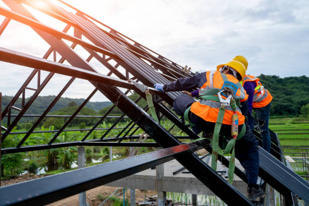 Best Roof Waterproofing Services  in Alamae, NC