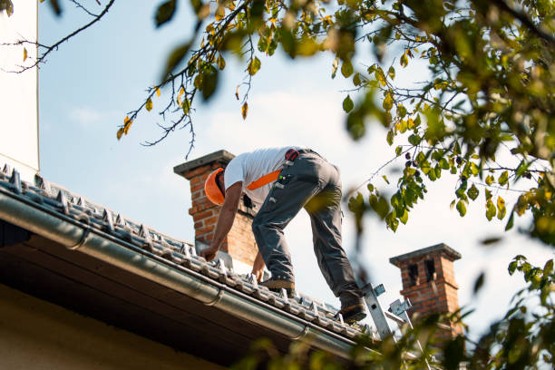 Best Storm Damage Roof Repair  in Alamae, NC