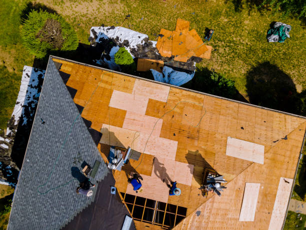 Best Local Roofing Companies  in Alamae, NC