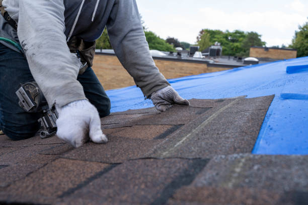 Best Flat Roof Repair Services  in Alamae, NC