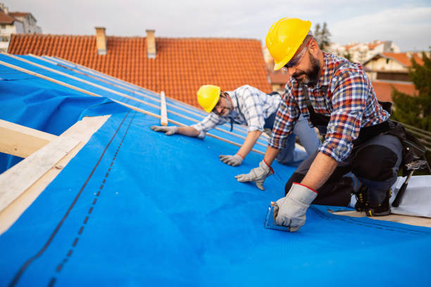 Best Roof Repair Estimates  in Alamae, NC