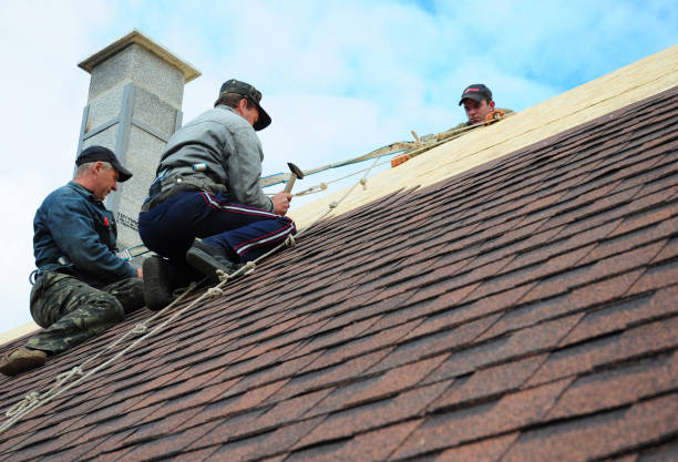 Best New Roof Installation  in Alamae, NC
