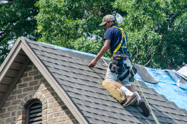 Best Roofing Contractor Near Me  in Alamae, NC